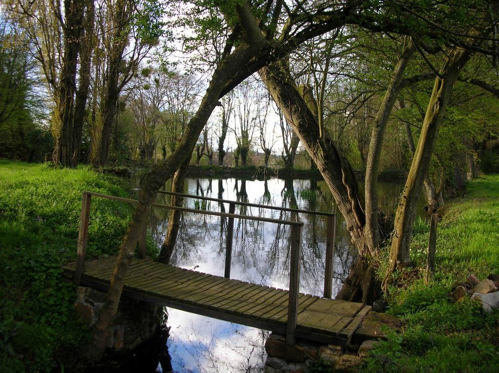Domaine De Chatenay - Le Mans Saint-Saturnin  Esterno foto