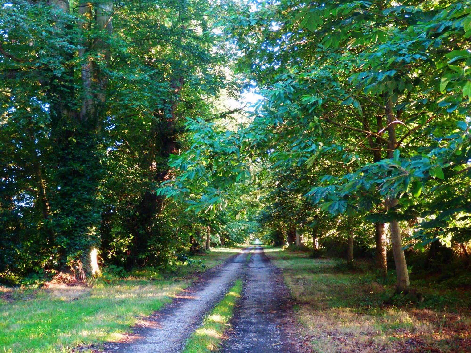 Domaine De Chatenay - Le Mans Saint-Saturnin  Esterno foto
